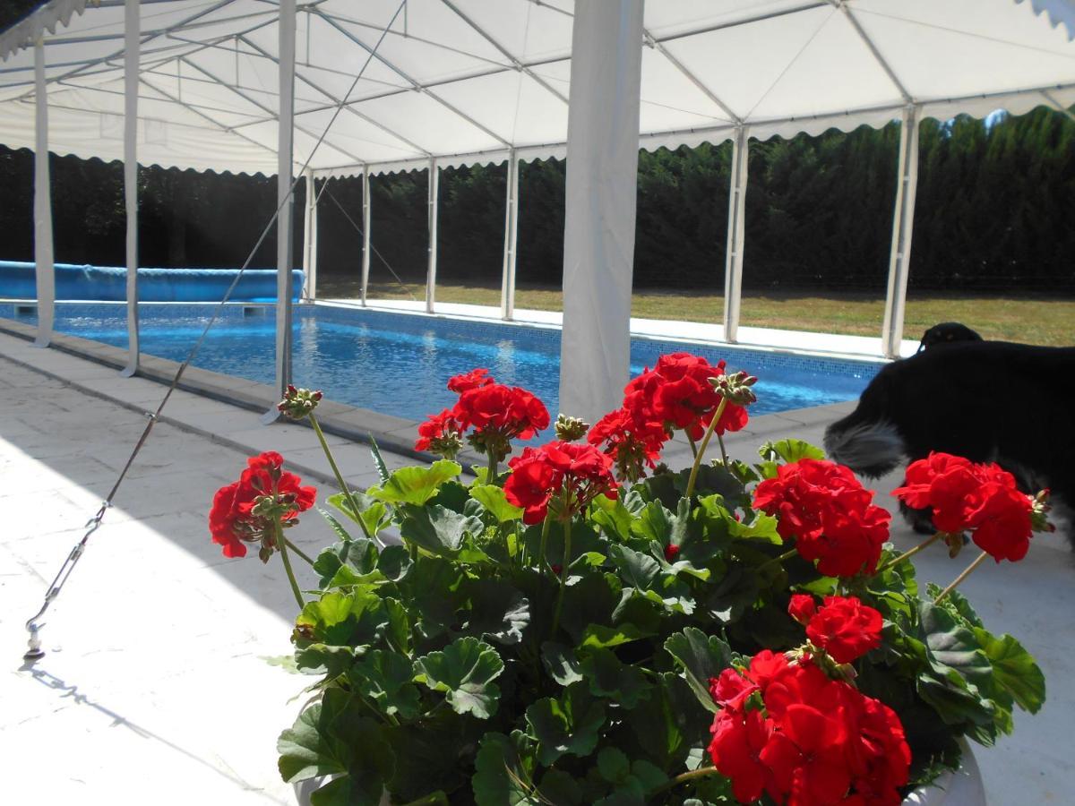 Les Bruyeres Bed & Breakfast Mery-sur-Cher Ngoại thất bức ảnh