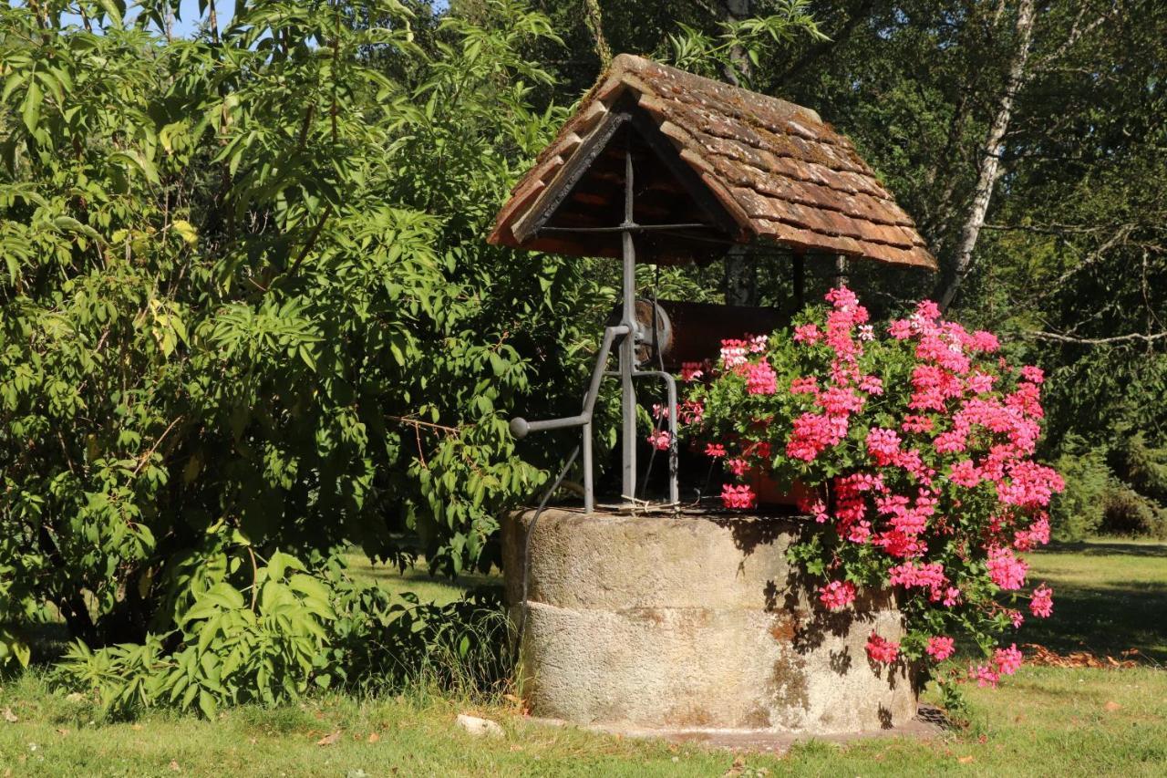 Les Bruyeres Bed & Breakfast Mery-sur-Cher Ngoại thất bức ảnh
